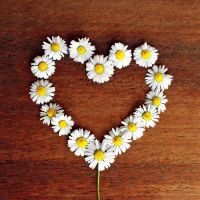 Nils Kristian Nordlien